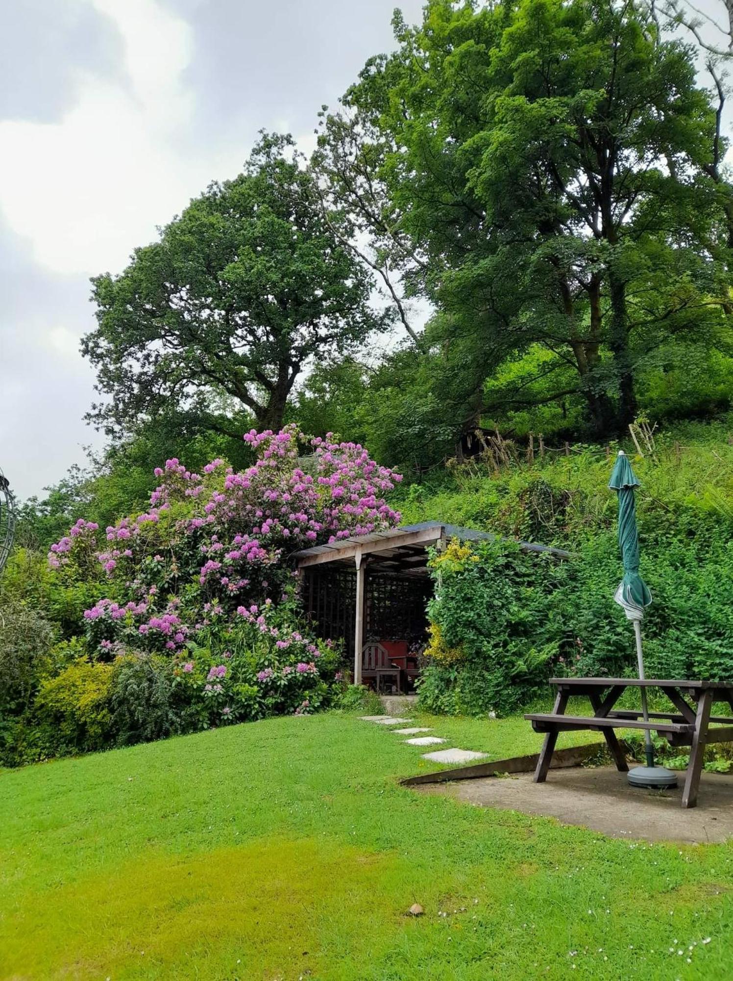 'Morris' The Shepherd'S Hut And Woodland Hot Tub Experience Кармартен Экстерьер фото