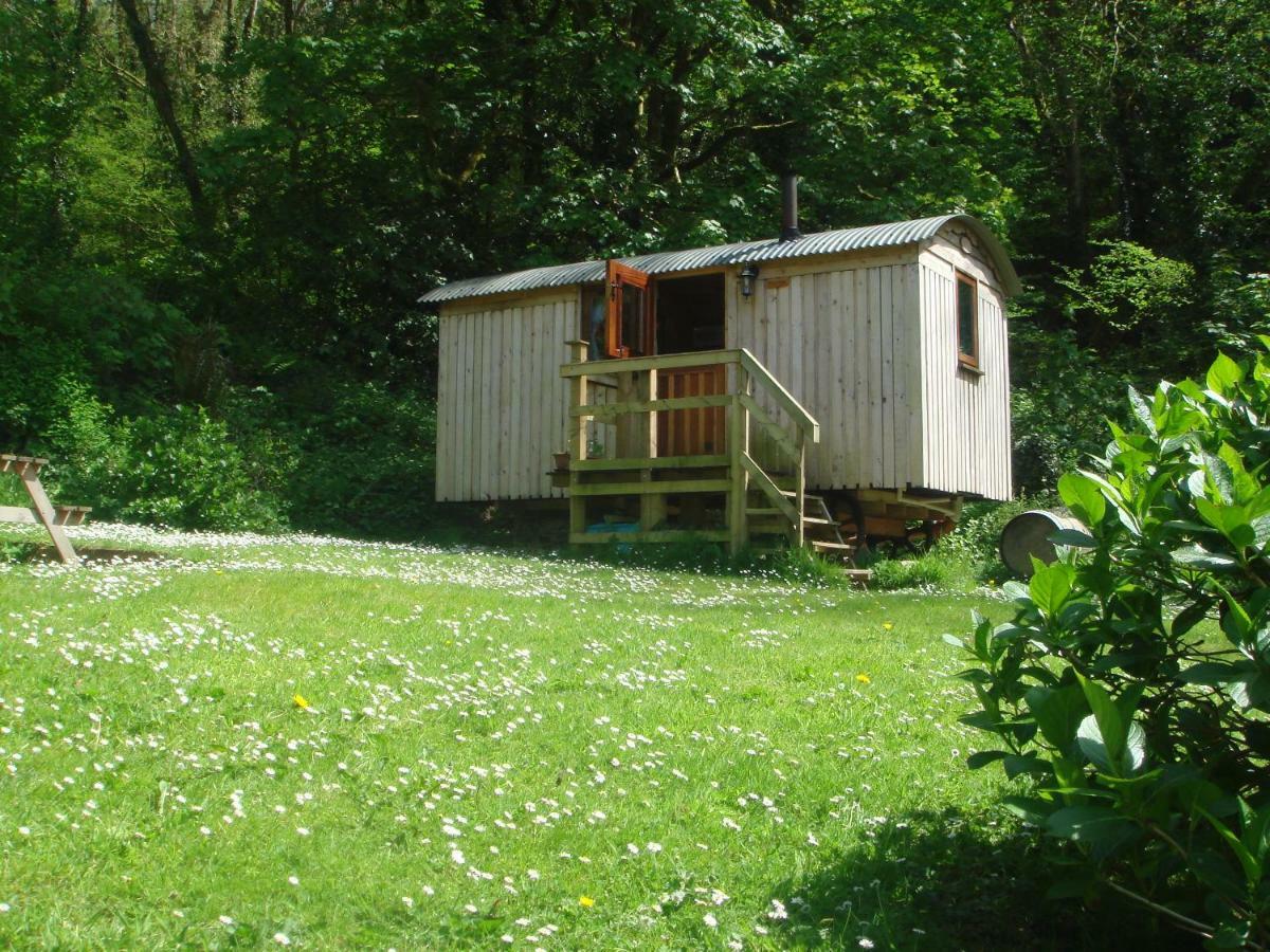 'Morris' The Shepherd'S Hut With Woodland Hot Tub Кармартен Экстерьер фото