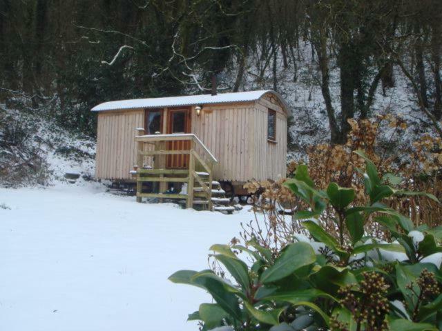 'Morris' The Shepherd'S Hut And Woodland Hot Tub Experience Кармартен Экстерьер фото