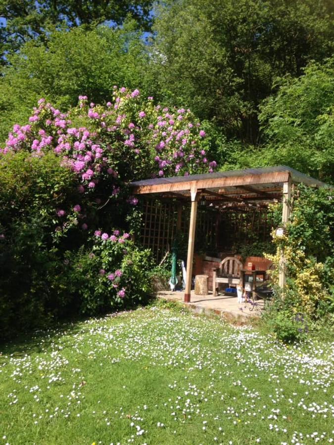 'Morris' The Shepherd'S Hut With Woodland Hot Tub Кармартен Экстерьер фото